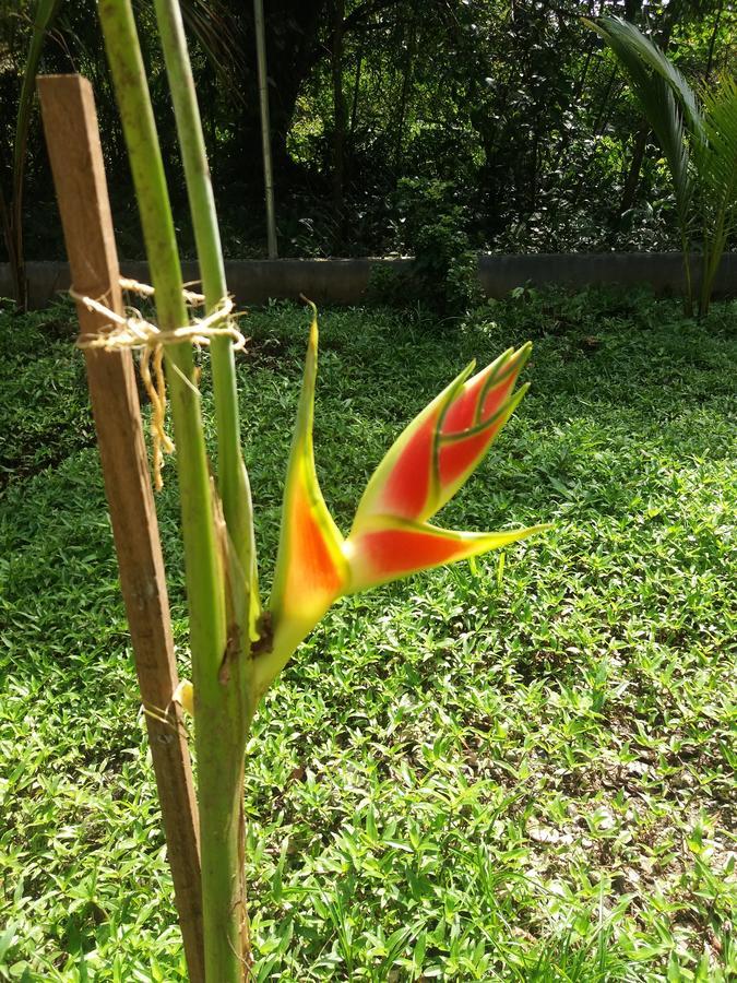 Villa Sevilla Big Creek 外观 照片